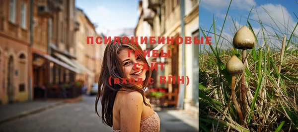 герыч Зеленокумск