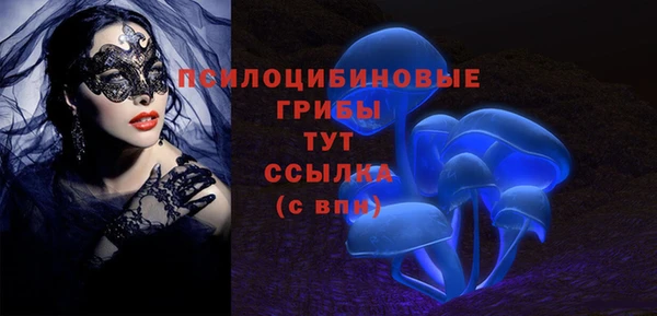 герыч Зеленокумск