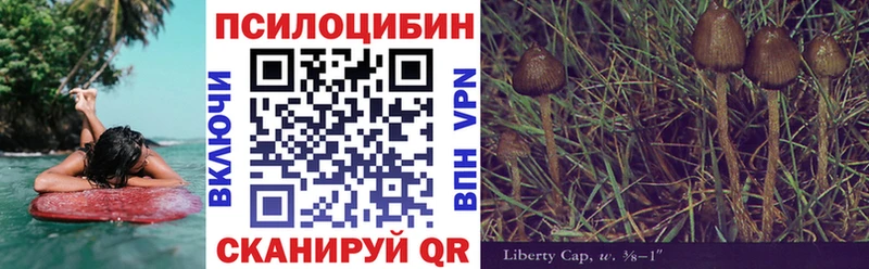 Галлюциногенные грибы Psilocybe Невинномысск