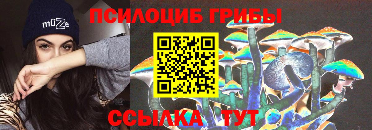 Псилоцибиновые грибы прущие грибы Невинномысск